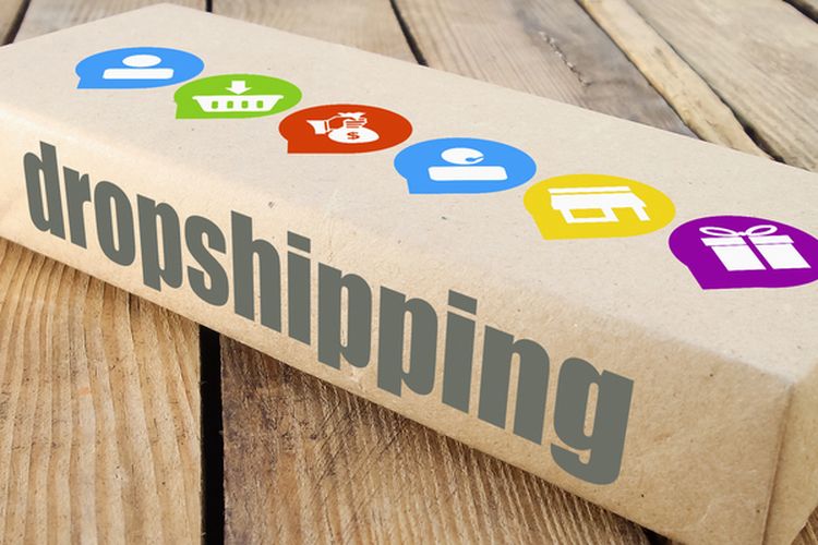 bisnis dropship